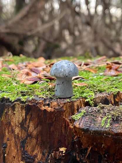 Labradorite Mini Mushroom