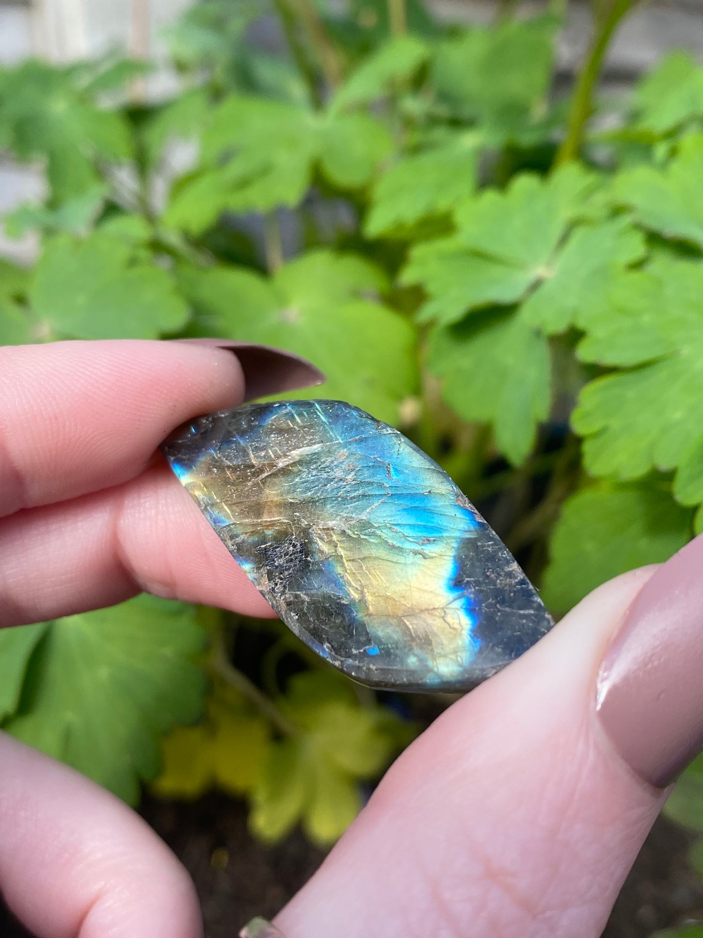 Labradorite Mini