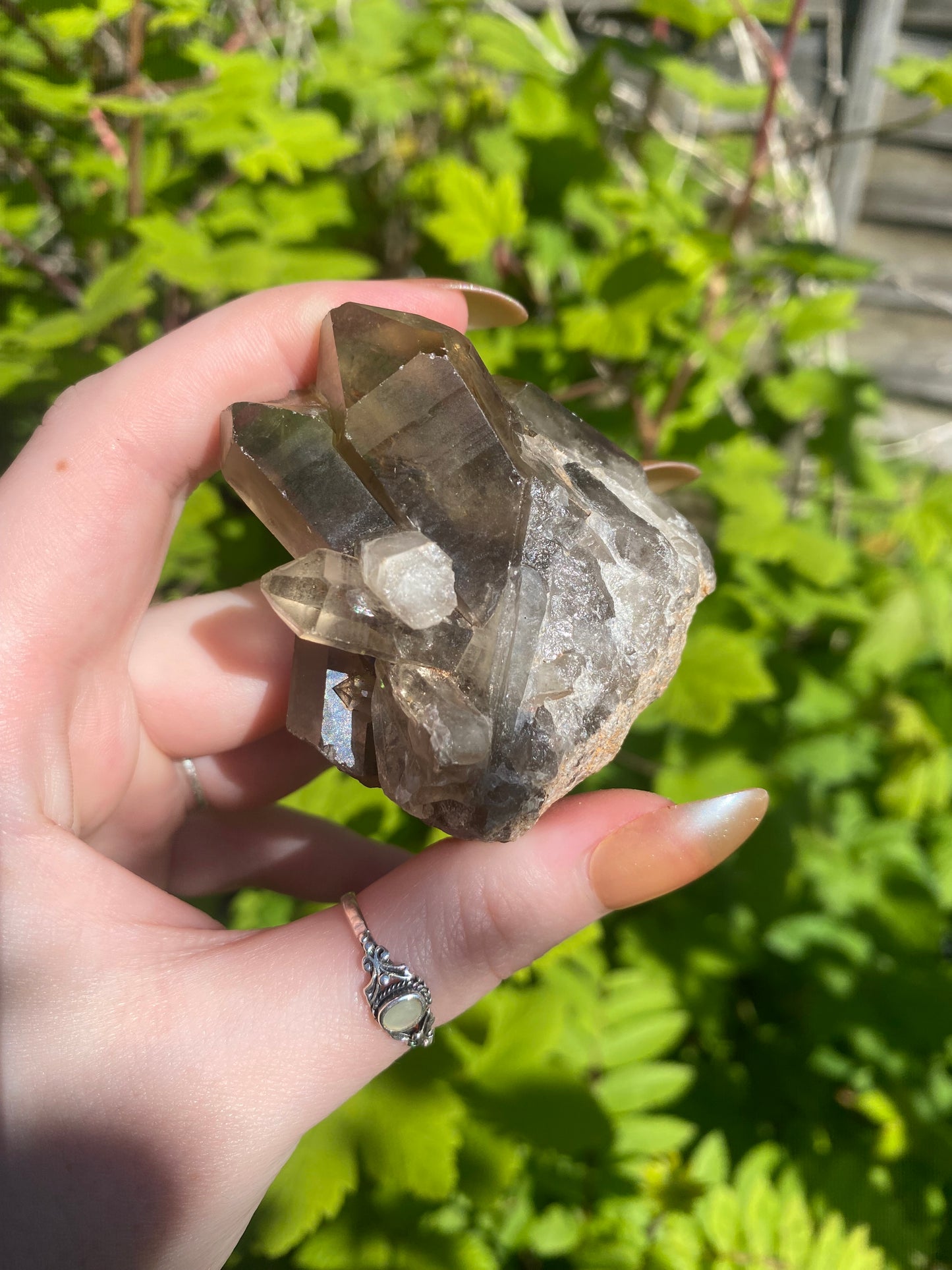 Smokey Citrine Cluster