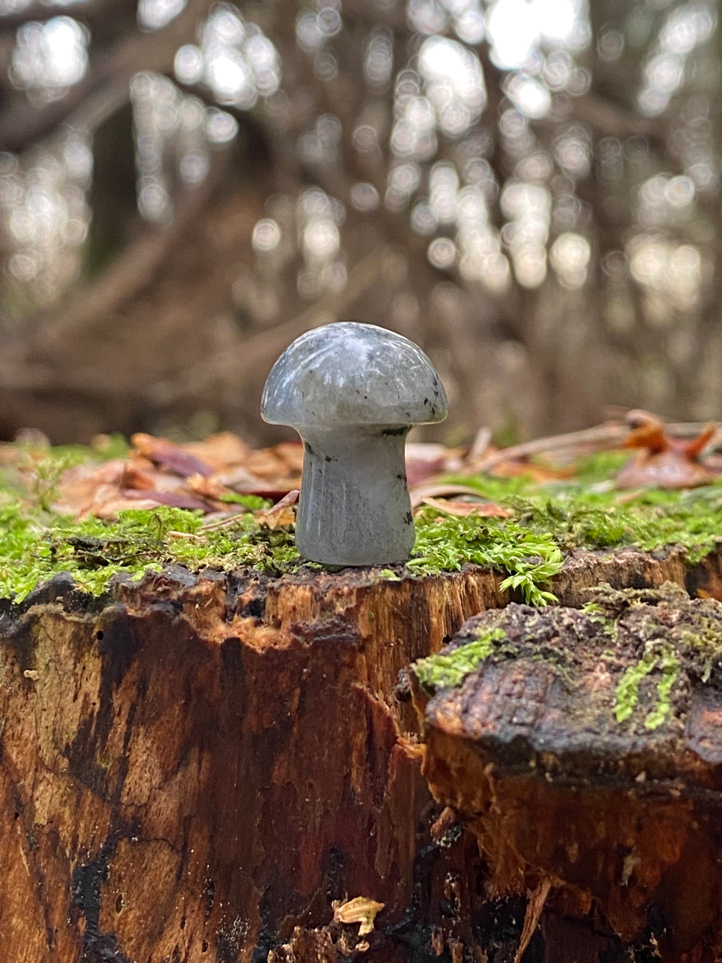 Labradorite Mini Mushroom