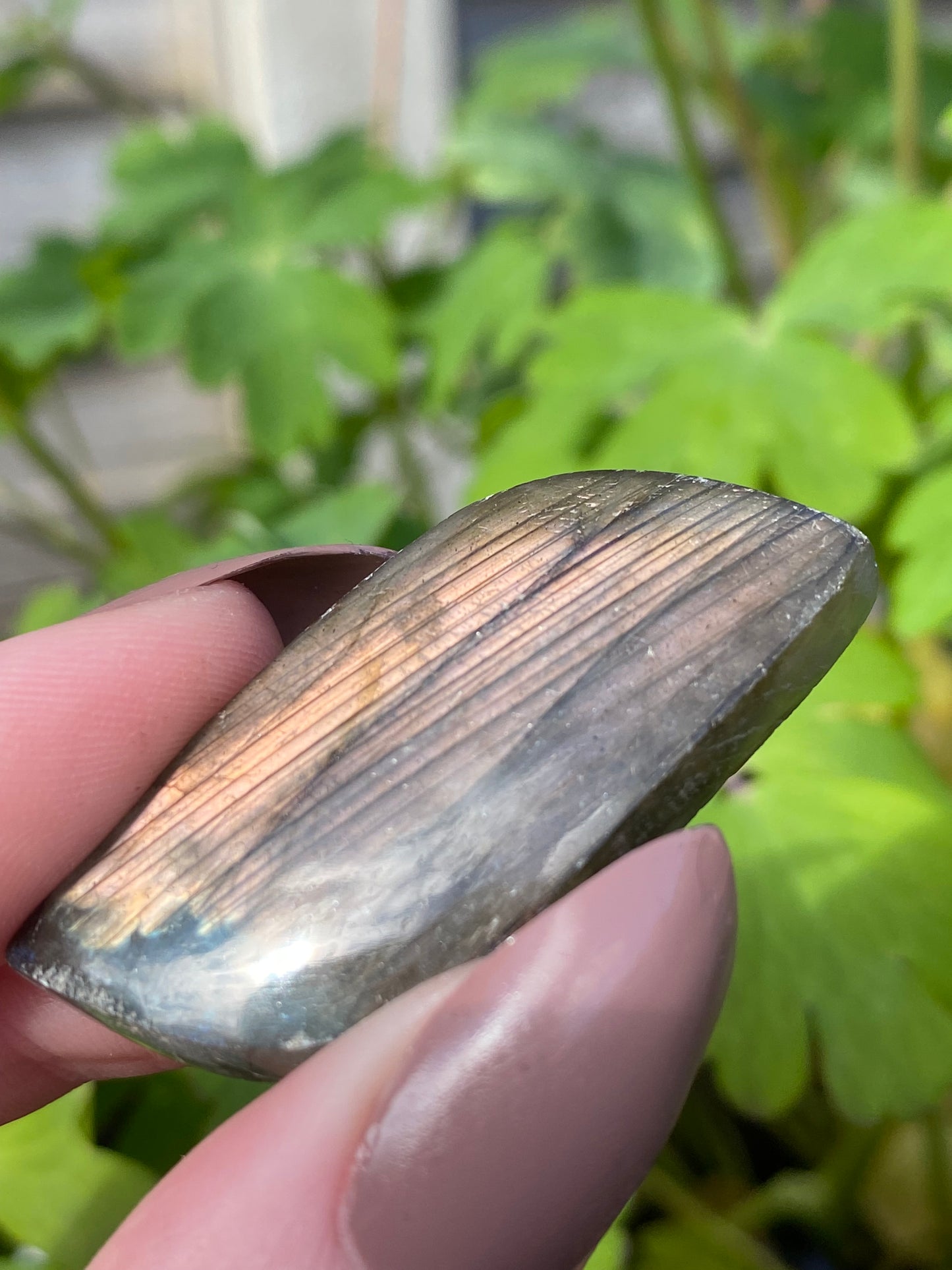 Labradorite Mini