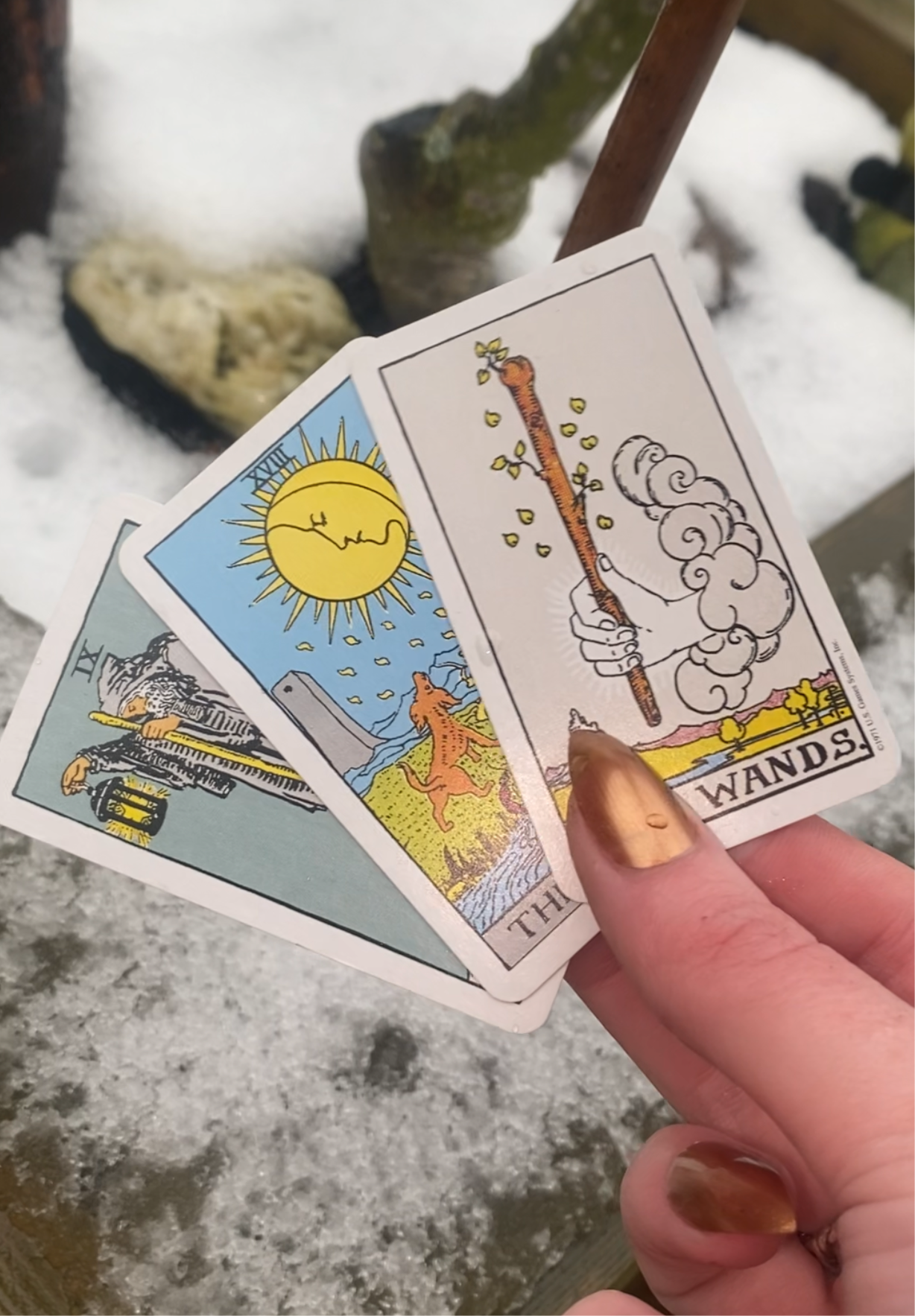 LIVE Mini Reading