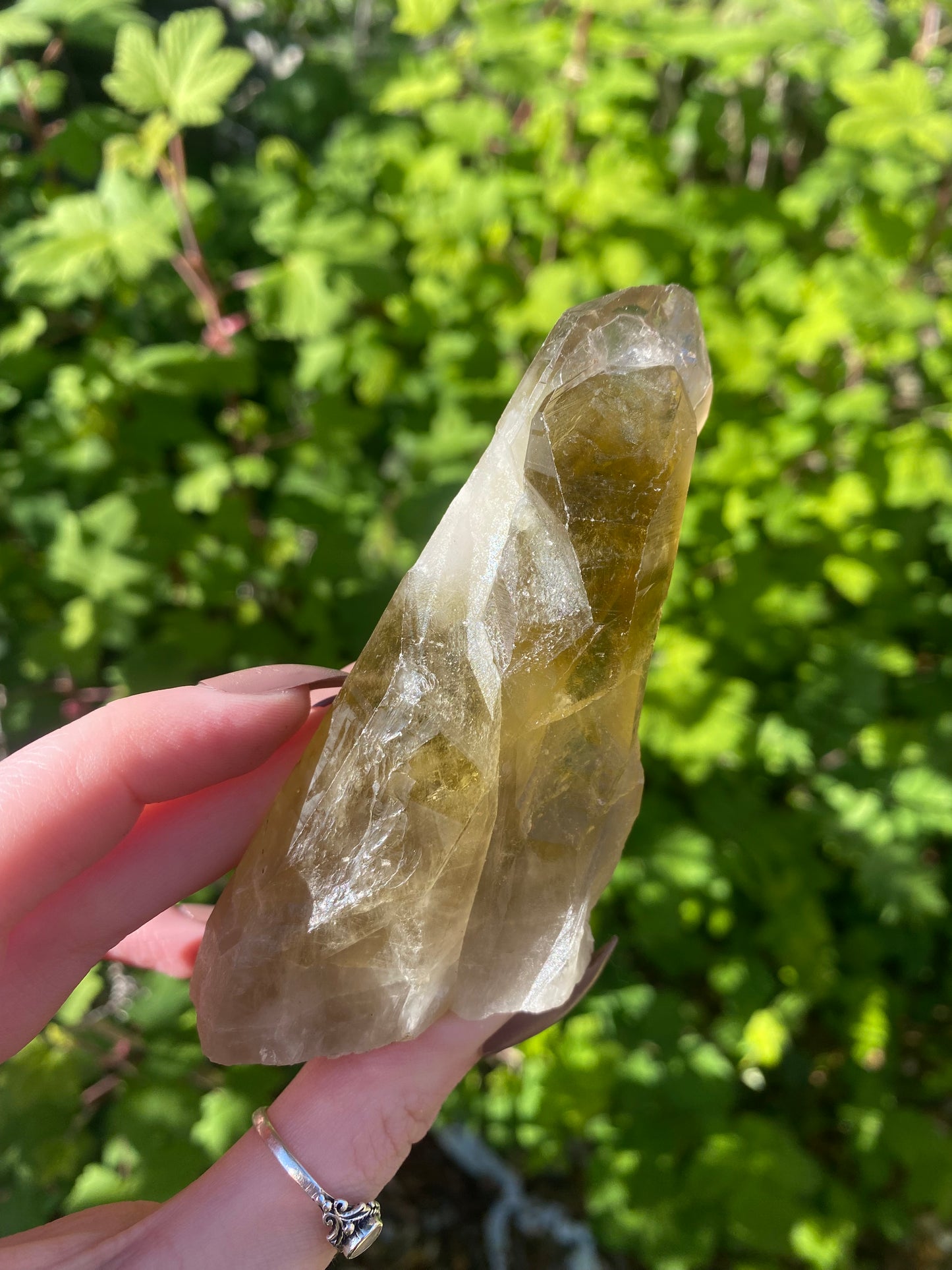 Smokey Citrine Double Point