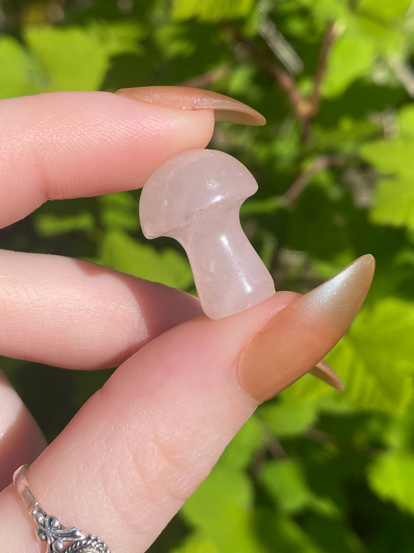 Rose Quartz Mini Mushroom