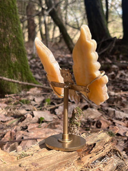 Orange Calcite Owl Wings