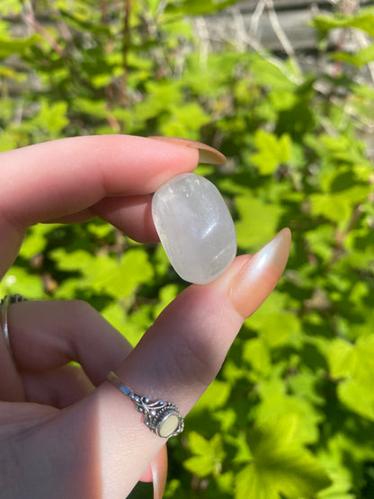 Optical Calcite Tumble