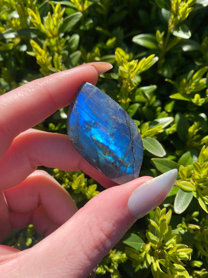 Labradorite Mini