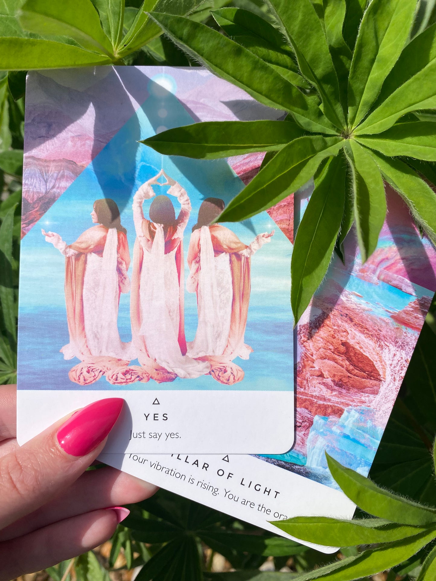 LIVE Oracle Card