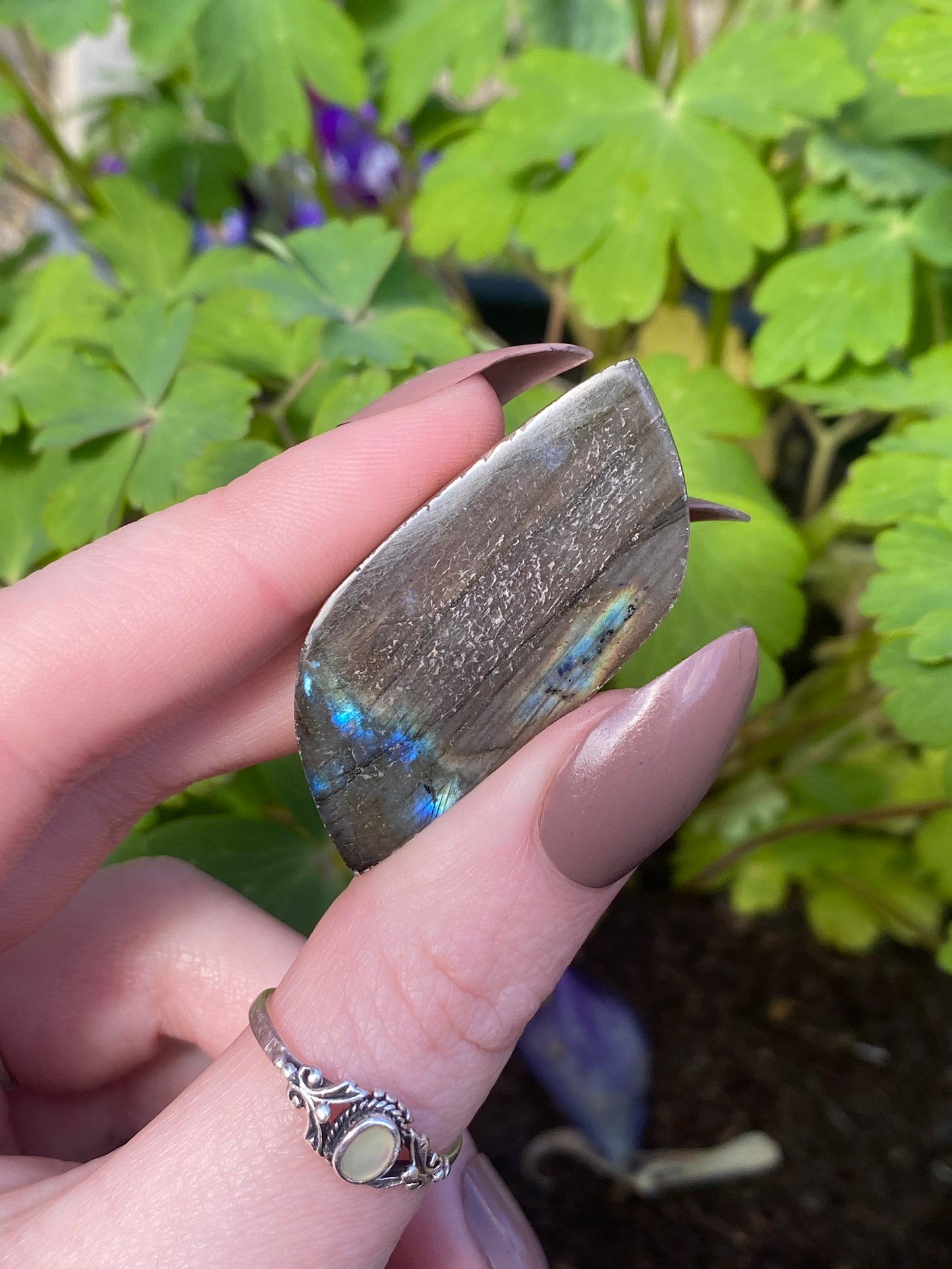 Labradorite Mini