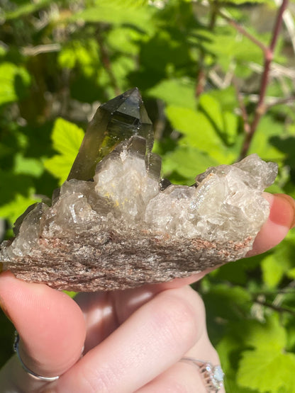 Smokey Citrine Cluster