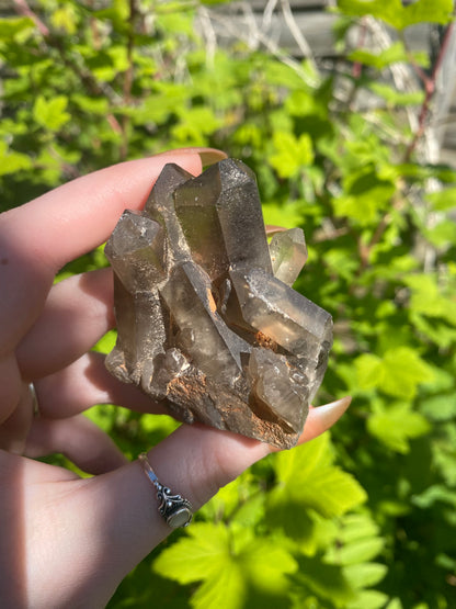 Smokey Citrine Cluster