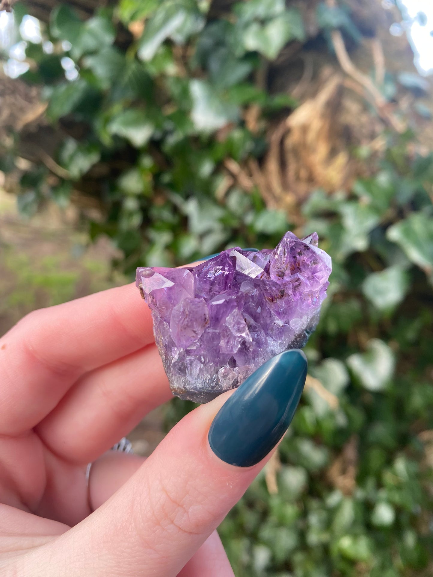 Mini Amethyst Cluster